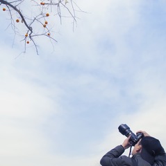 DJI_0216