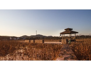 DJI_0117