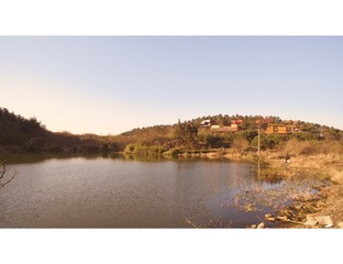 DJI_0117-4