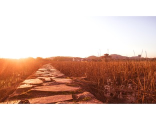 DJI_0163