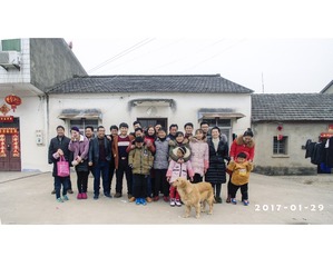 DJI_0215
