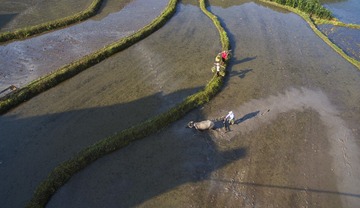 DJI_0024