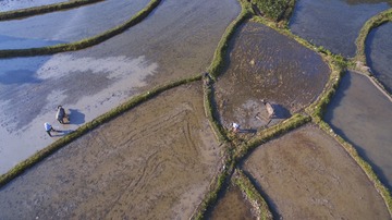 DJI_0054