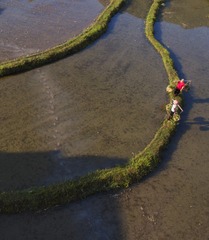 DJI_0018