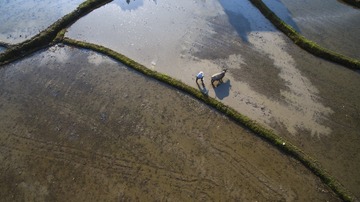 DJI_0045