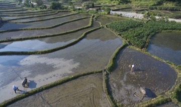 DJI_0057