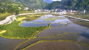 DJI_0002