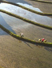 DJI_0013