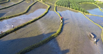 DJI_0020