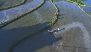 DJI_0024