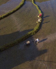DJI_0026