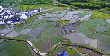 DJI_0091