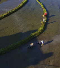 DJI_0026