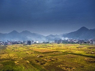 DSCN5417.jpg