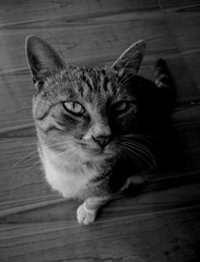 DSCN6883.JPG
