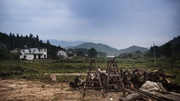 P1030637.jpg