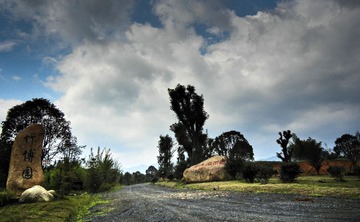 DSCN6998.jpg