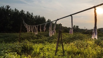 P1050557-2.jpg