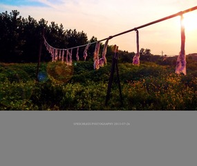 P1050557