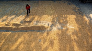 P1060903