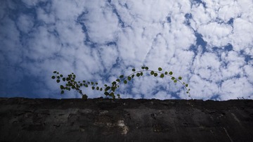 P1080369