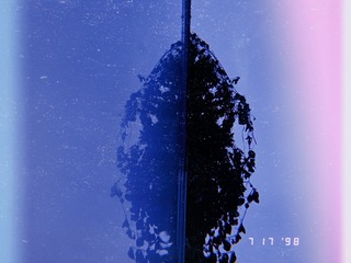 3401470