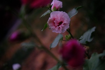 33C3D6E6-1B2B-4133-AF30-611E935A7920/L0/001
