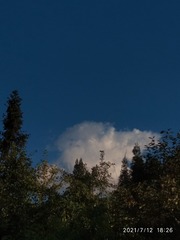 504868