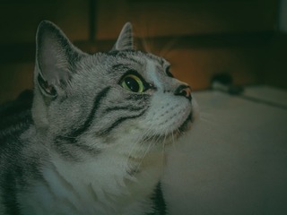 B27784A8-E887-4AED-9A4F-FE9E9F531ADD/L0/001