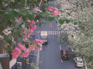 642A2EF1-09CD-4AA8-A1C9-157642D82891/L0/001