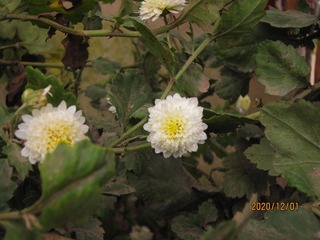 060197CE-19CD-40A6-9BD2-3F1D726D6D44/L0/001