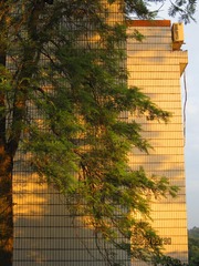 3C0C3B59-7CF8-4202-9038-59AD98AA9DD6/L0/001