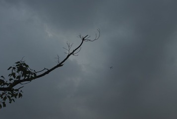 _SDI0058.jpg
