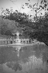 _SDI1871 副本 (2).jpg