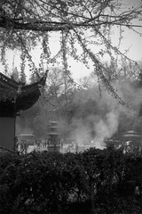 _SDI1977 副本 (2).jpg