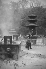 _SDI1979 副本 (2).jpg