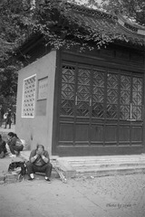 _SDI1982 副本 (2).jpg
