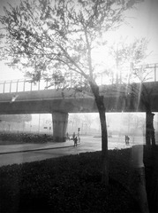 IMG_20111128_082444 副本.jpg