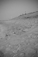 _SDI2222 副本 (2).jpg
