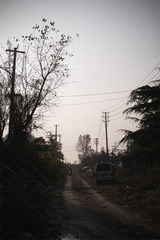 _SDI2241 副本.jpg