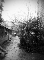 IMG_20120330_074544.jpg