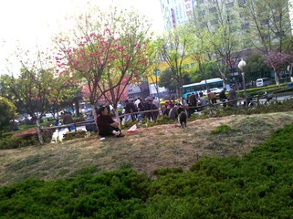 IMG_20120408_163249 - 副本.jpg