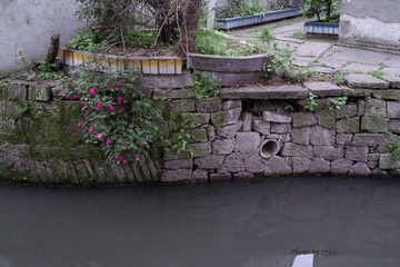 _SDI2908.jpg