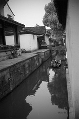 _SDI2918 副本.jpg