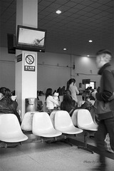 _SDI2946 副本.jpg