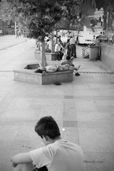 _SDI3364 副本.jpg