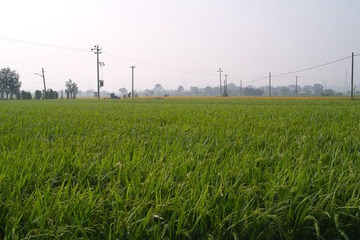 _SDI4305 副本.jpg