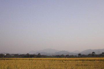 _SDI4108 副本.jpg