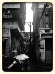 DSC_0093_1 副本.jpg