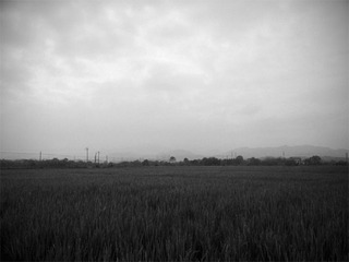 DSC_1864 